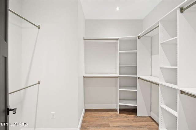 1983 Kaylee Dr, Jefferson City, TN 37760 - walk in closet with wood finished floors