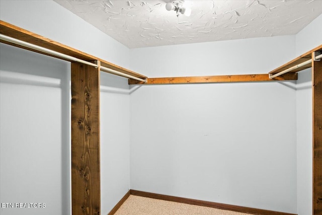 716 Lakewood Dr, Jefferson City, TN 37760 - spacious closet with light colored carpet
