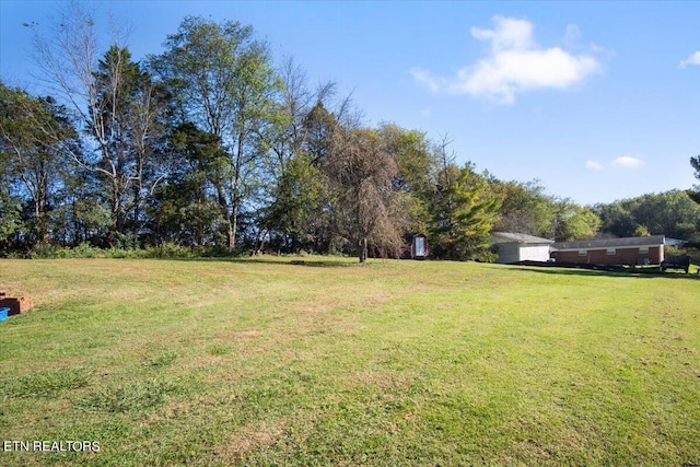 view of yard