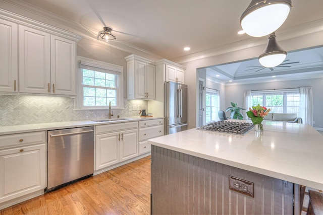 kitchen featuring light wood-style floors, a sink, a healthy amount of sunlight, and stainless steel appliances