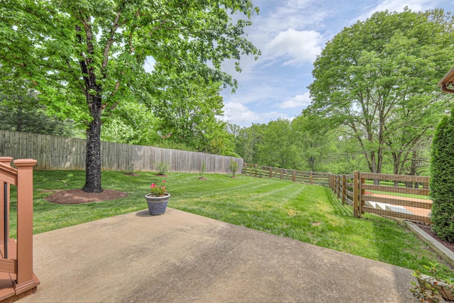 view of yard featuring a patio and a fenced backyard
