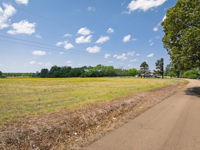 0 Murphy Ln, Whiteville, TN 38075