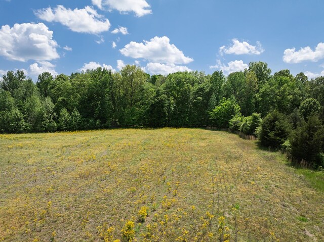 0 Murphy Ln, Whiteville, TN 38075