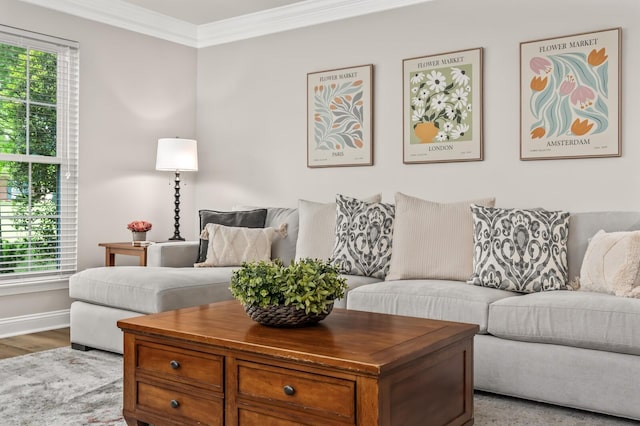 8542 Sawyer Brown Rd, Nashville, TN 37221 - living area featuring crown molding, baseboards, and wood finished floors