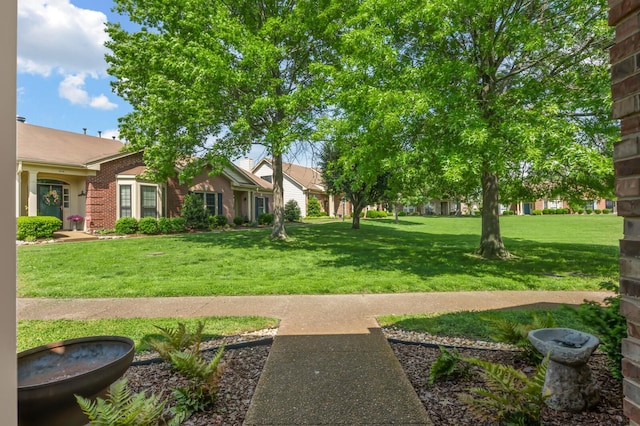 8542 Sawyer Brown Rd, Nashville, TN 37221 - view of yard
