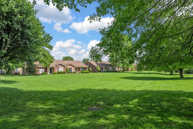 8542 Sawyer Brown Rd, Nashville, TN 37221 - view of yard