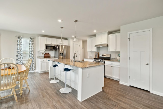 kitchen with a sink, dark wood finished floors, under cabinet range hood, and stainless steel appliances