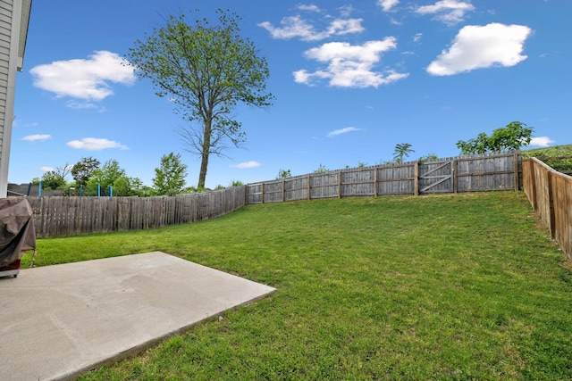view of yard with a patio and a fenced backyard