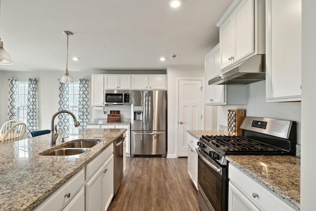 kitchen with white cabinetry, under cabinet range hood, a sink, dark wood finished floors, and stainless steel appliances