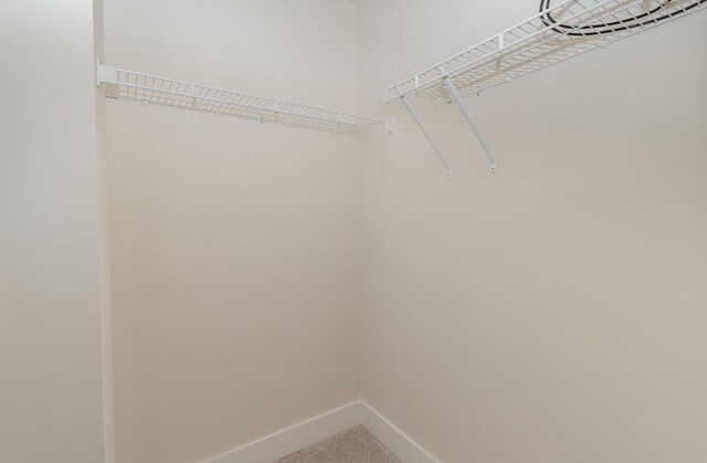 7025 Magnolia Crossings, Spring Hill, TN 37174 - spacious closet featuring carpet