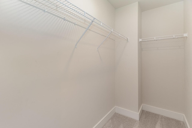 7025 Magnolia Crossings, Spring Hill, TN 37174 - walk in closet with light colored carpet