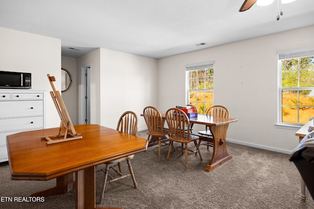 332 Gail Ln, Lenoir City, TN 37772 - photo 38
