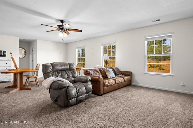 332 Gail Ln, Lenoir City, TN 37772 - photo 37