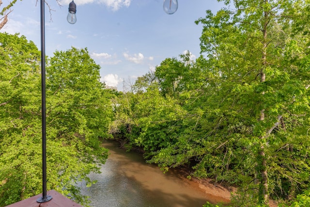 141 Rivergate Dr, Franklin, TN 37064 - photo 47