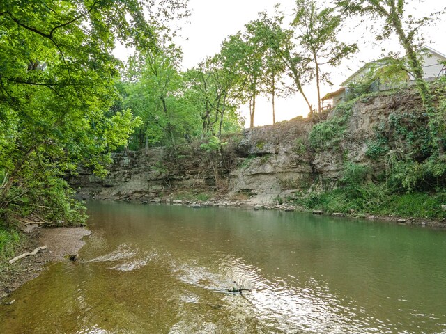 141 Rivergate Dr, Franklin, TN 37064 - photo 4