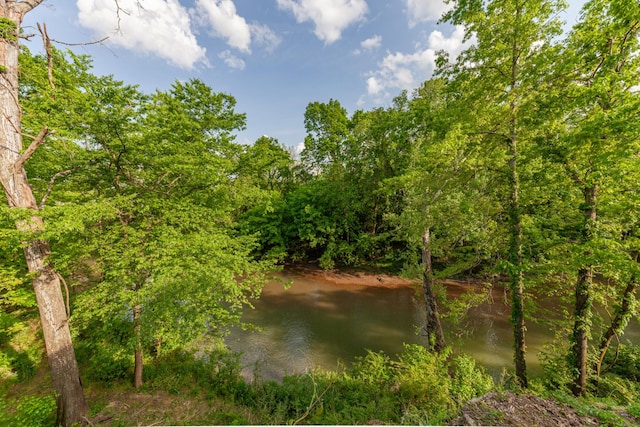 141 Rivergate Dr, Franklin, TN 37064 - photo 46