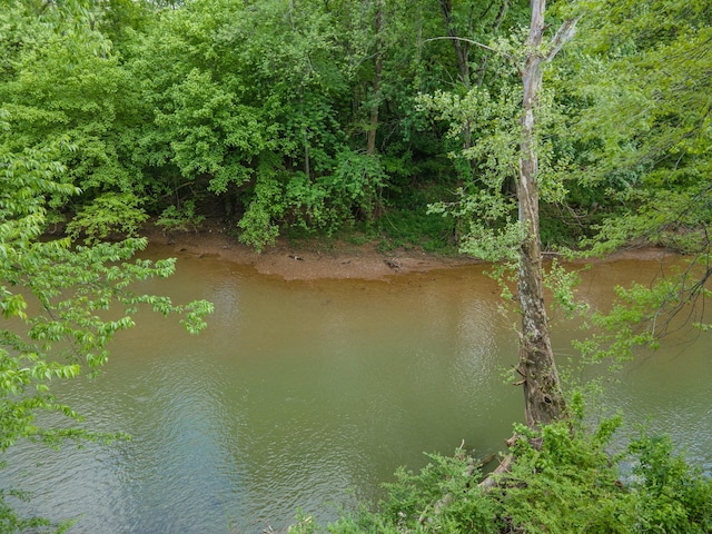 141 Rivergate Dr, Franklin, TN 37064 - photo 48