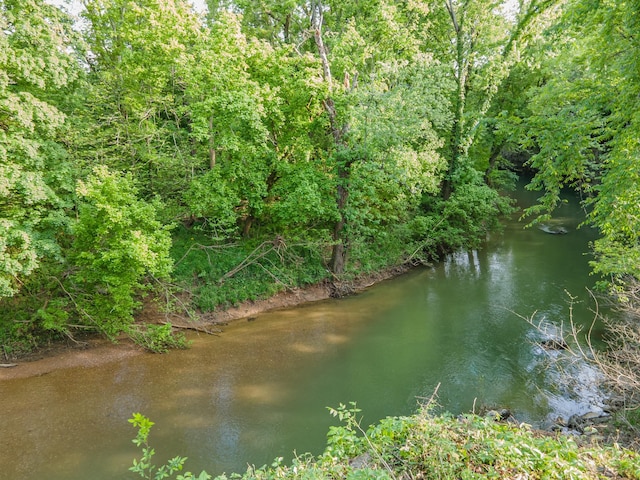 141 Rivergate Dr, Franklin, TN 37064 - photo 49