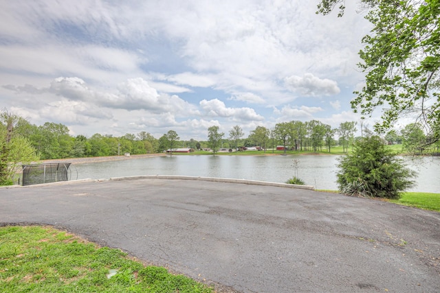 411 Willow Lake Dr, Portland, TN 37148 - view of water feature