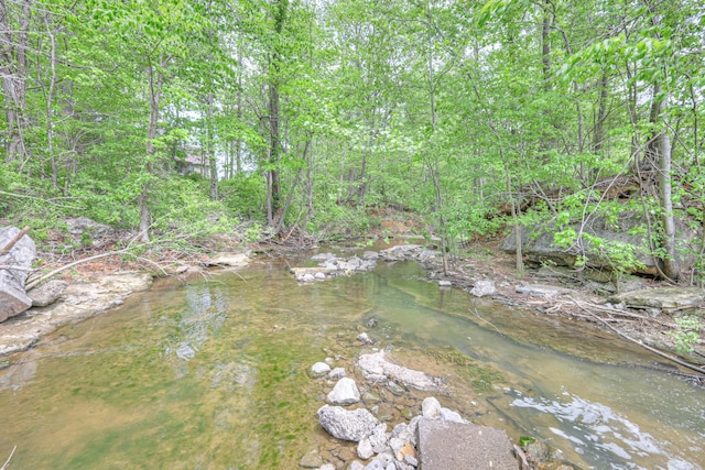 411 Willow Lake Dr, Portland, TN 37148 - view of landscape