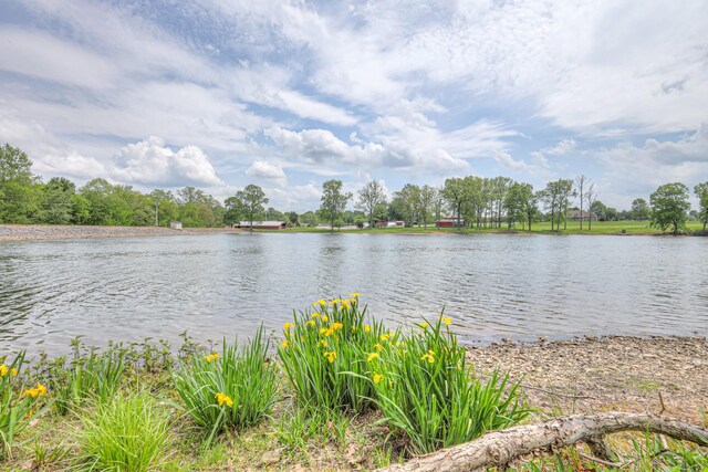 411 Willow Lake Dr, Portland, TN 37148 - water view