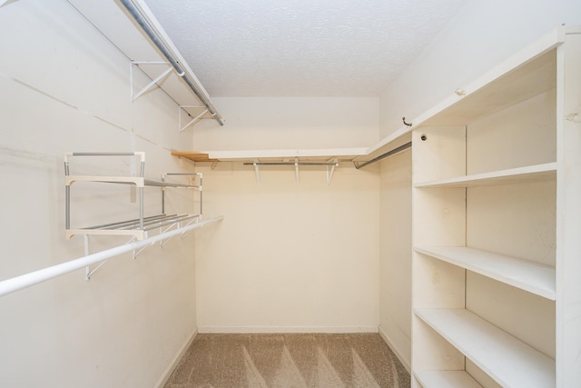 walk in closet with light carpet