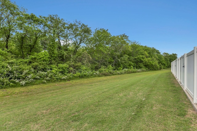 312 Mattie Ln, Spring Hill, TN 37174 - view of yard