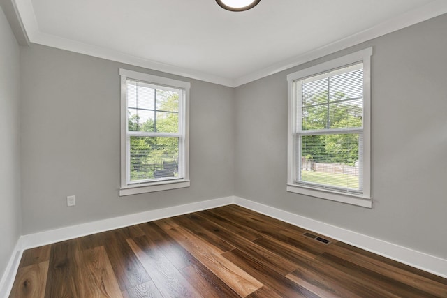 spare room featuring crown molding, baseboards, and a wealth of natural light