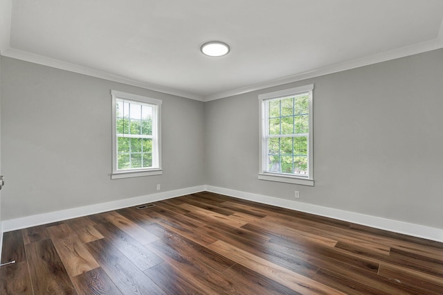 empty room with baseboards, ornamental molding, and a healthy amount of sunlight
