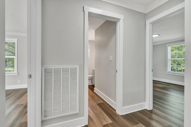 hallway with visible vents, dark wood finished floors, and crown molding
