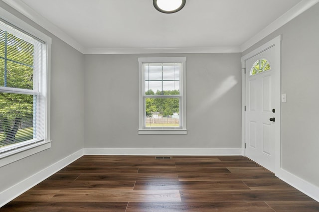 foyer entrance featuring plenty of natural light and ornamental molding