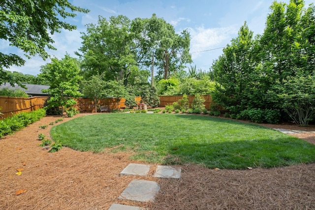 2004 Natchez Trce, Nashville, TN 37212 - view of yard featuring a fenced backyard