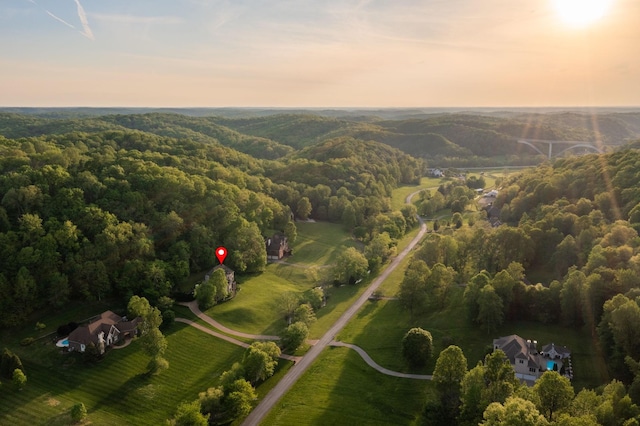 aerial view at dusk with a forest view