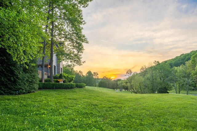 view of yard at dusk