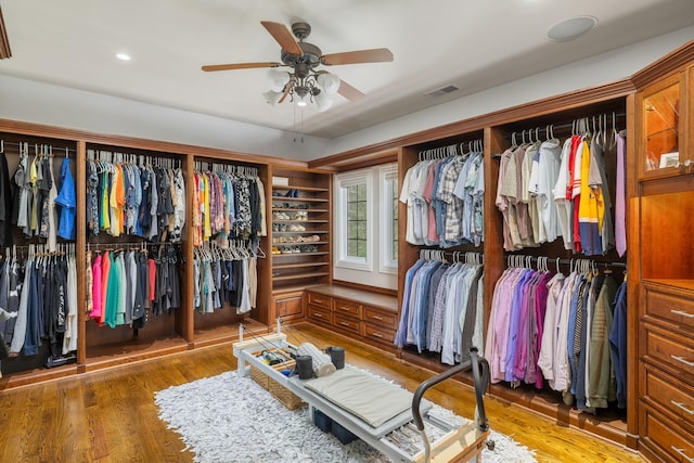 spacious closet with visible vents, a ceiling fan, and wood finished floors
