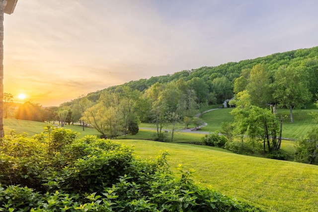 view of home's community with a yard