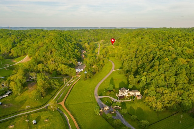 aerial view with a view of trees