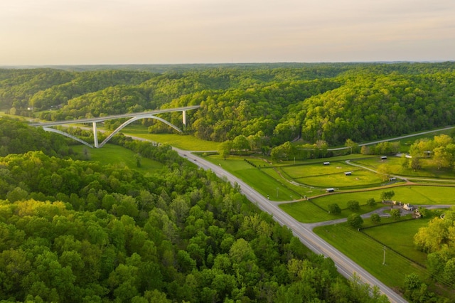 bird's eye view featuring a wooded view