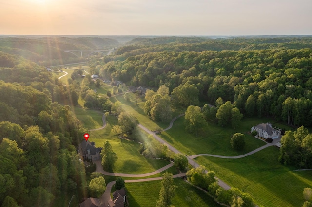 aerial view at dusk with a forest view