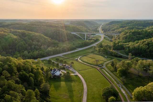 bird's eye view with a view of trees