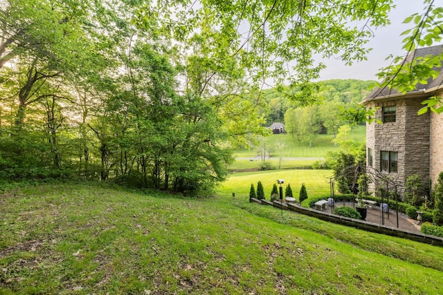 view of yard