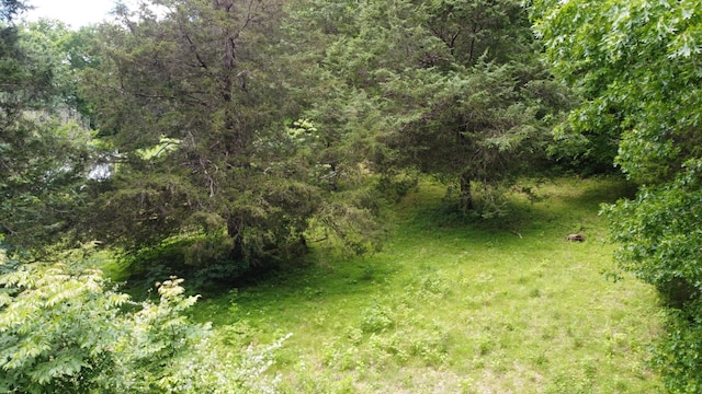 1 Cedar Hurst Ln, Pulaski, TN 38478