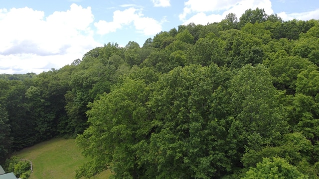 1 Cedar Hurst Ln, Pulaski, TN 38478
