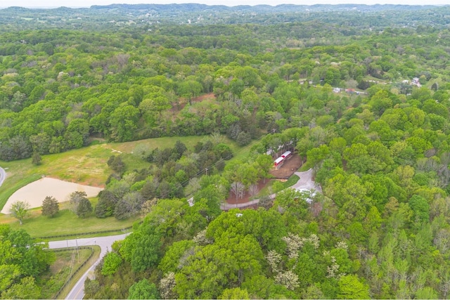 6498 Arno College Grove Rd, College Grove, TN 37046 - drone / aerial view featuring a view of trees