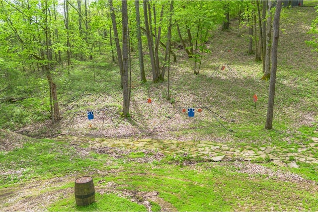 6498 Arno College Grove Rd, College Grove, TN 37046 - view of yard
