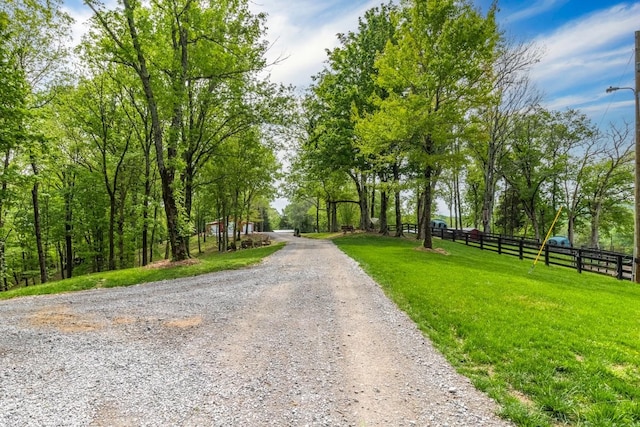 6498 Arno College Grove Rd, College Grove, TN 37046 - view of street