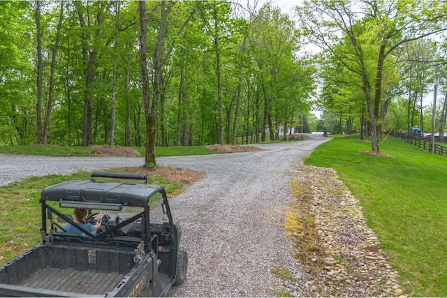 6498 Arno College Grove Rd, College Grove, TN 37046 - view of street