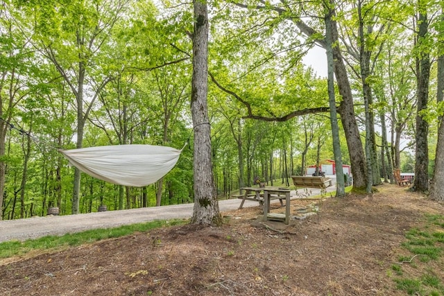 6498 Arno College Grove Rd, College Grove, TN 37046 - view of yard
