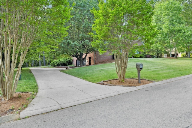view of home's community featuring a lawn and driveway