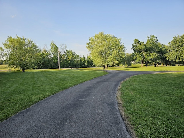 view of road